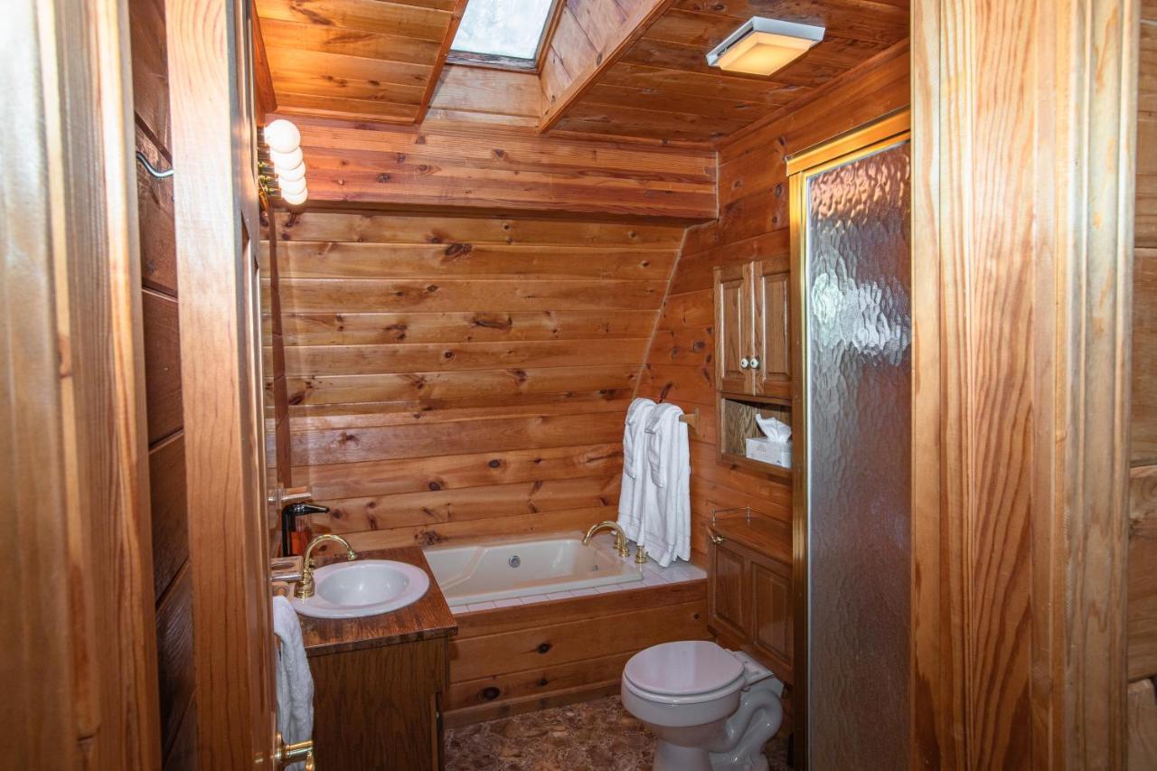Treetops Cabin Easy To Asheville With Fast Wifi And Great View Swiss Exteriér fotografie