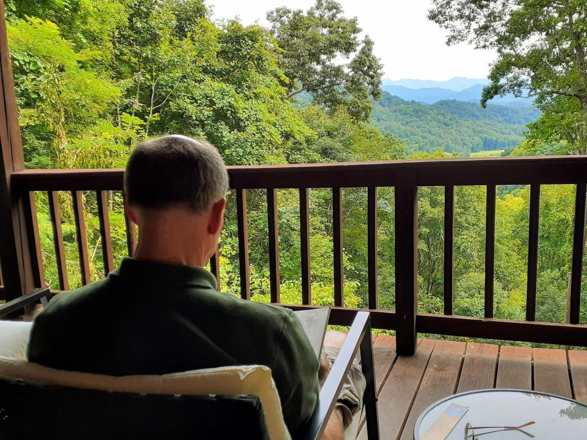 Treetops Cabin Easy To Asheville With Fast Wifi And Great View Swiss Exteriér fotografie