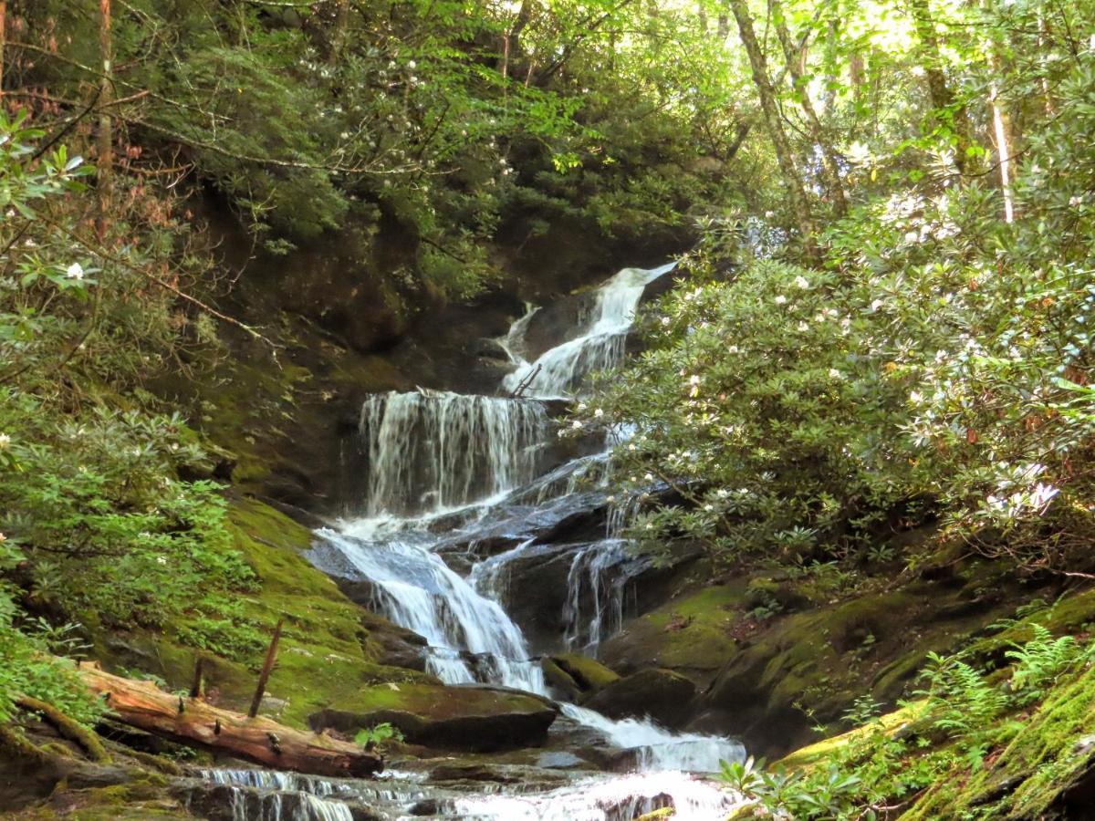 Treetops Cabin Easy To Asheville With Fast Wifi And Great View Swiss Exteriér fotografie