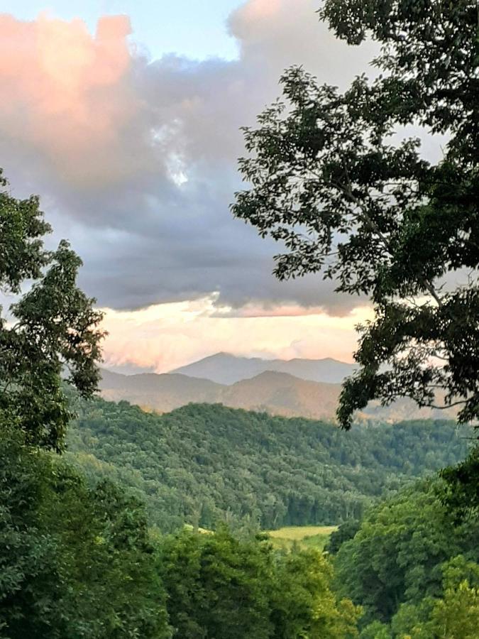 Treetops Cabin Easy To Asheville With Fast Wifi And Great View Swiss Exteriér fotografie